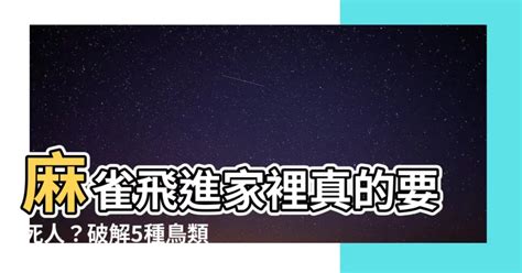 麻雀飛進家裡號碼|【麻雀飛到家裡】麻雀飛進家有啥神奇預示？竟和財運。